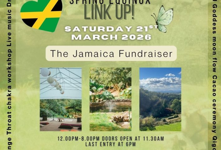 MediZen SPRING EQUINOX LINK UP – Jamaica fundraiser
